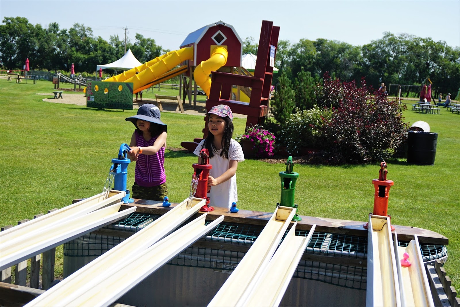 Endless Fun at Kraay Family Farm & Corn Maze Play Outside Guide