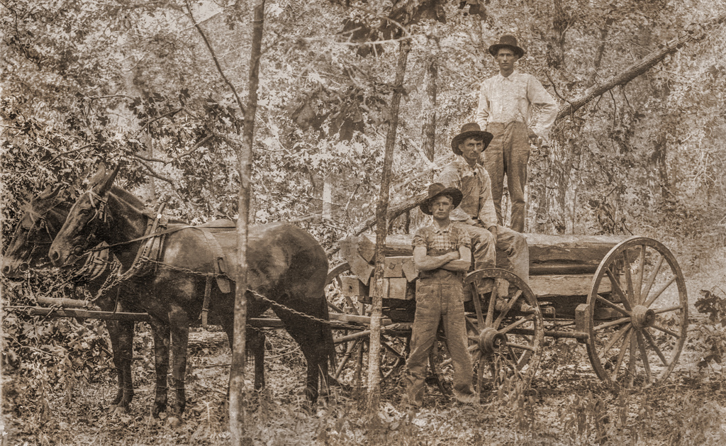 27 RarelySeen Vintage Snapshots Documented Daily Life of De Kalb City