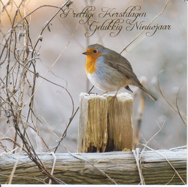 Bert Breed Kerstkaarten