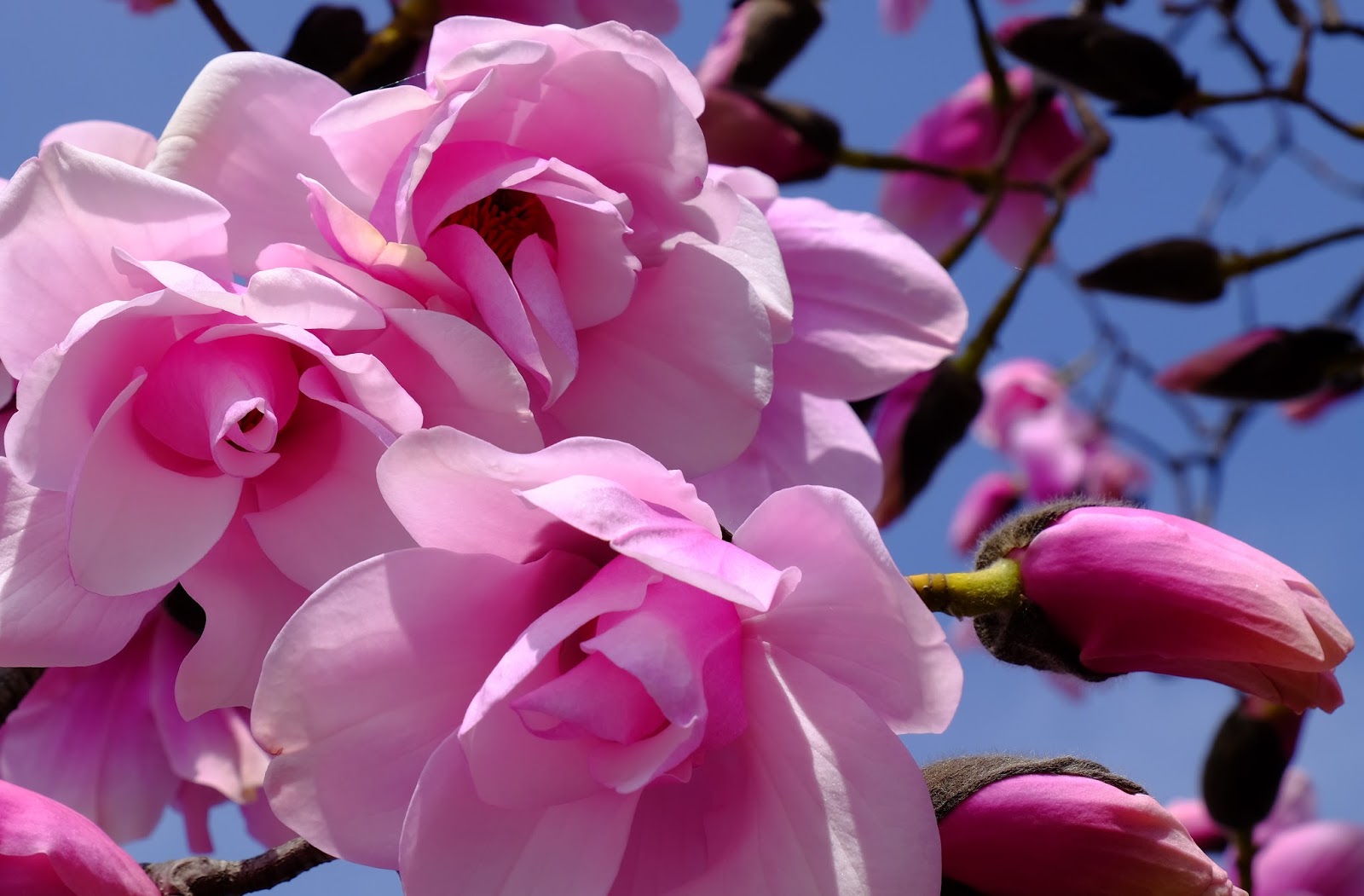 The Spring Equinox 2017 Reflections and Nature