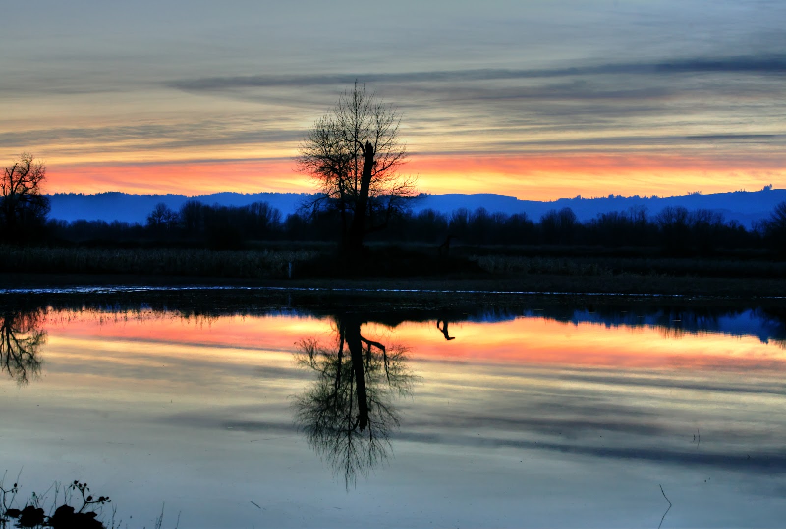 Great Big Open Road Sauvie Island, Oregon...