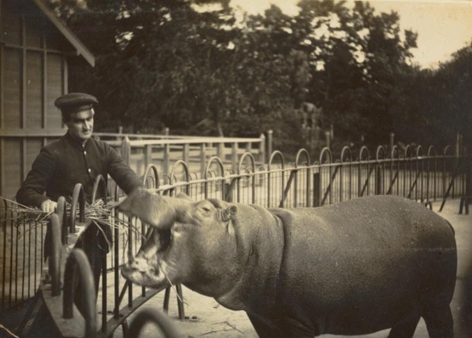 Article The Melbourne Zoo a Tap To Nature one for all and to share