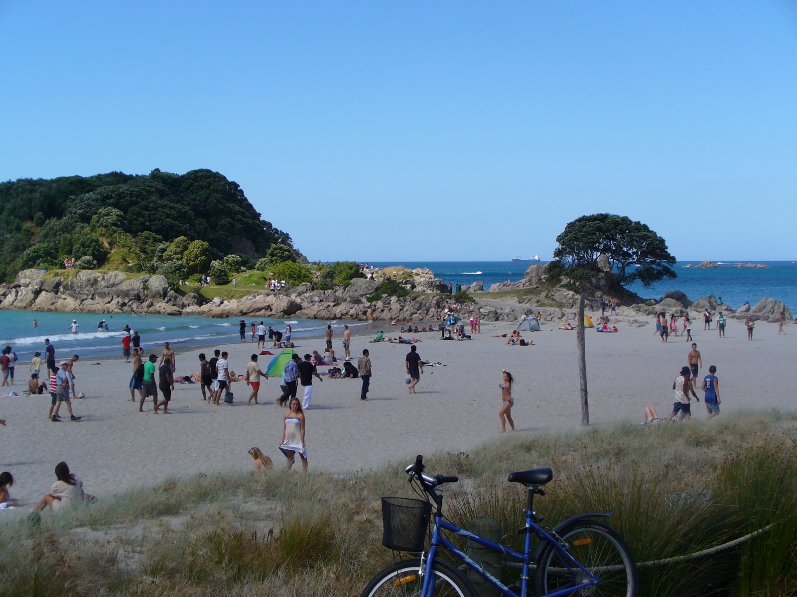 Dutchcorner Tauranga and Mount Maunganui