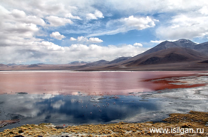 Лагуна Колорадо. Национальный заповедник Эдуардо Авароа Лагуна Колорадо (Laguna Colorado). Национальный заповедник Эдуардо Авароа (Eduardo Avaroa Andean Fauna National Reserve). Боливия