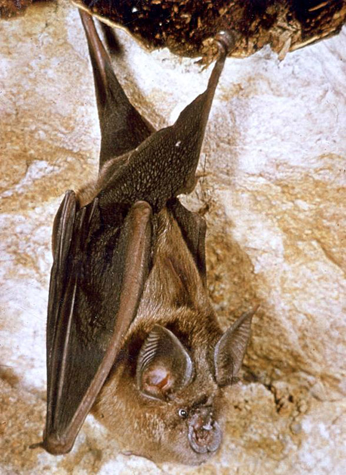 OUTCROP Avon Wildlife Trust