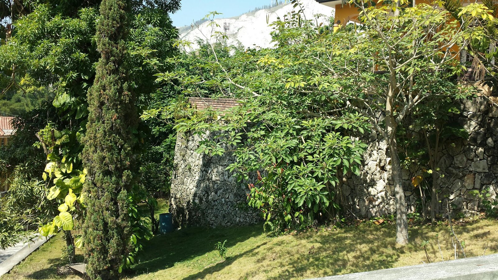 Louer ou Acheter une maison ou un terrain en Haiti ( immobilier en