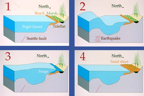 Tsunami Cause or Generation Mechanisms ~ Disaster
