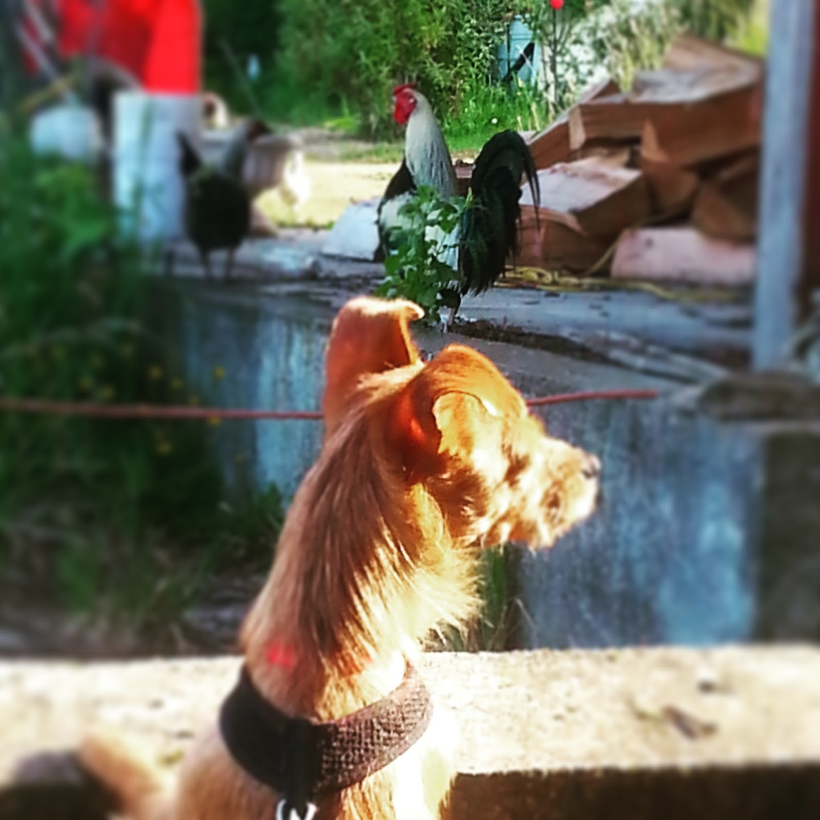 Berlinliebe Instagram Posts Photos And Videos Picuki Com