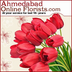 Send Rakhi Gifts to Ahmedabad