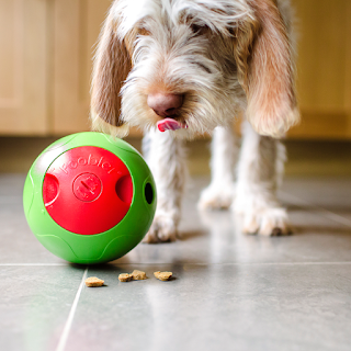 Foobler-Interactive-Puzzle-Feeding-Dog-Toy