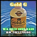 Gold G Sea Cucumber