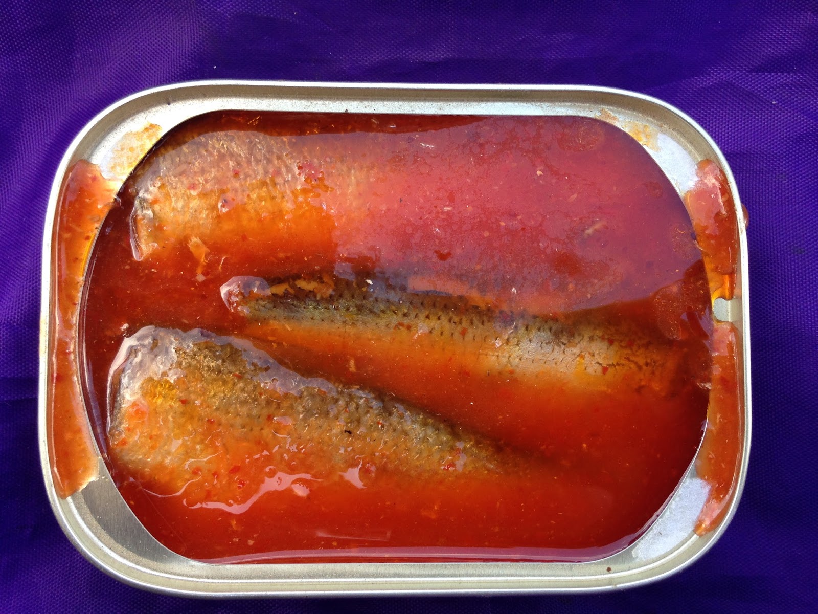 Mouth Full of Sardines OCEAN PRINCE 39