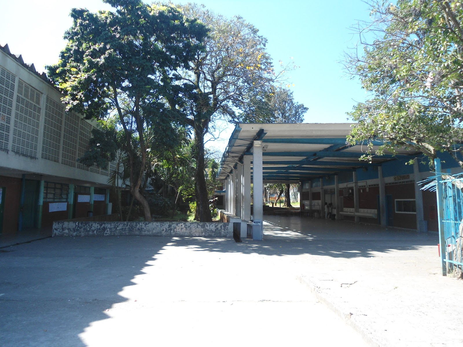 Turma do Aureliano Leite: Projeto Minha Escola
