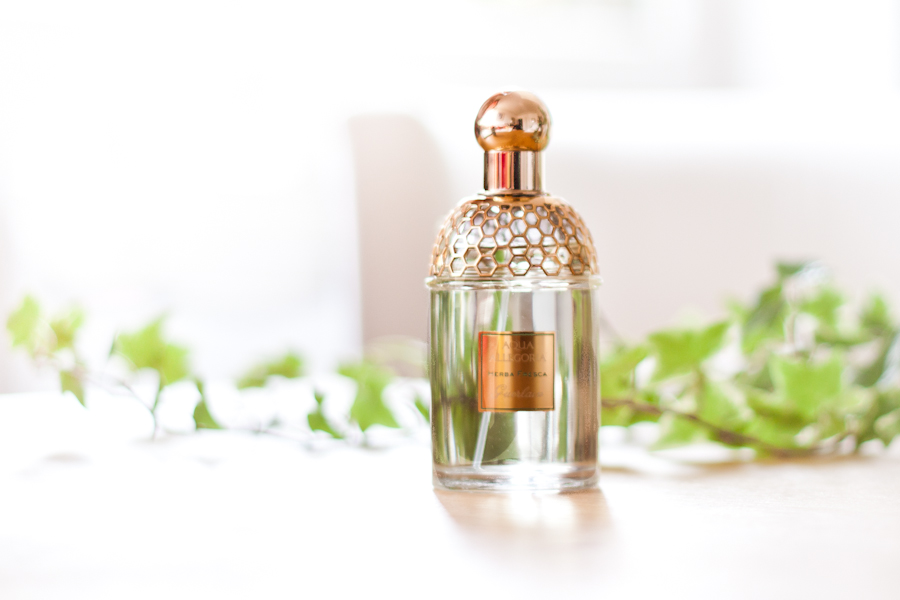 Guerlain aqua allegoria herba