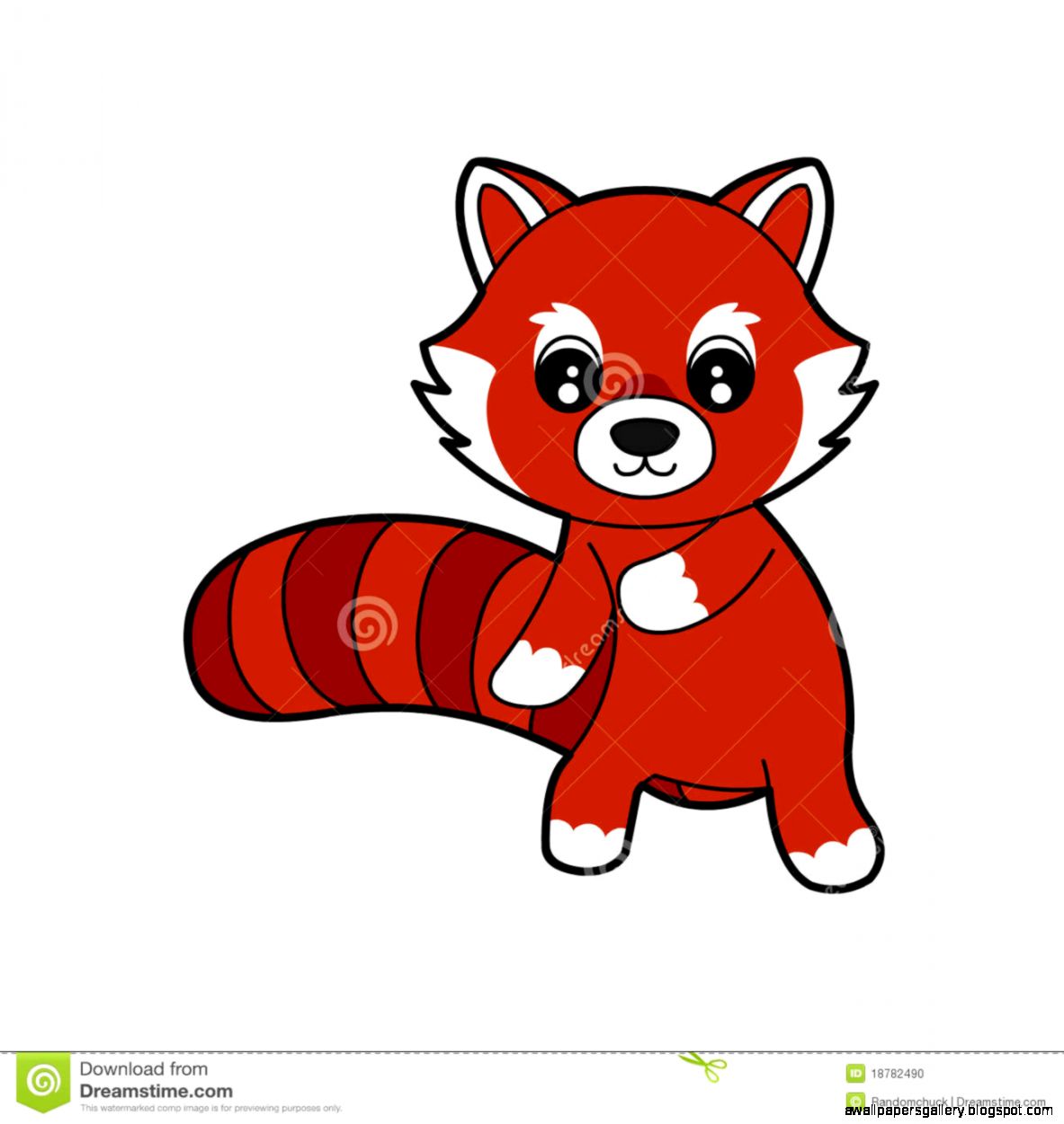 Cute Red Panda Drawing  Amazing Wallpapers