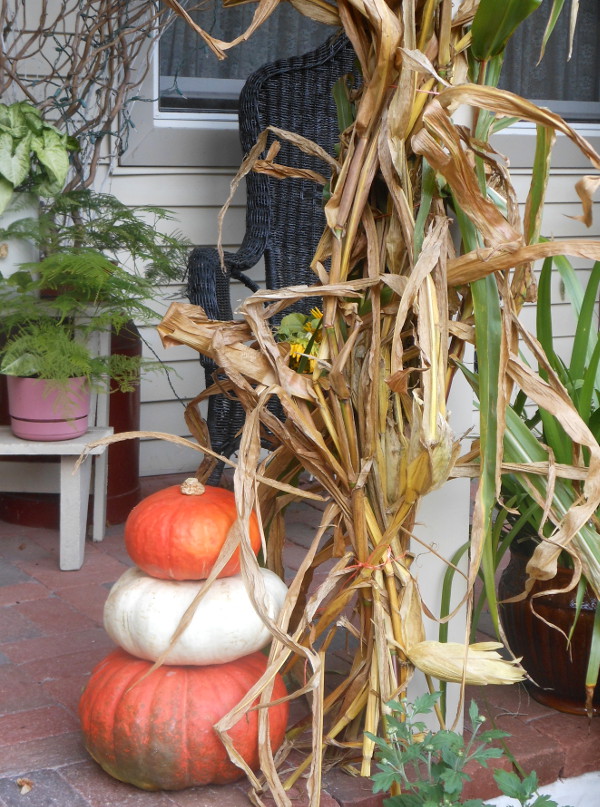 Quilted Nest: Pumpkin Shopping & Porch Decor....