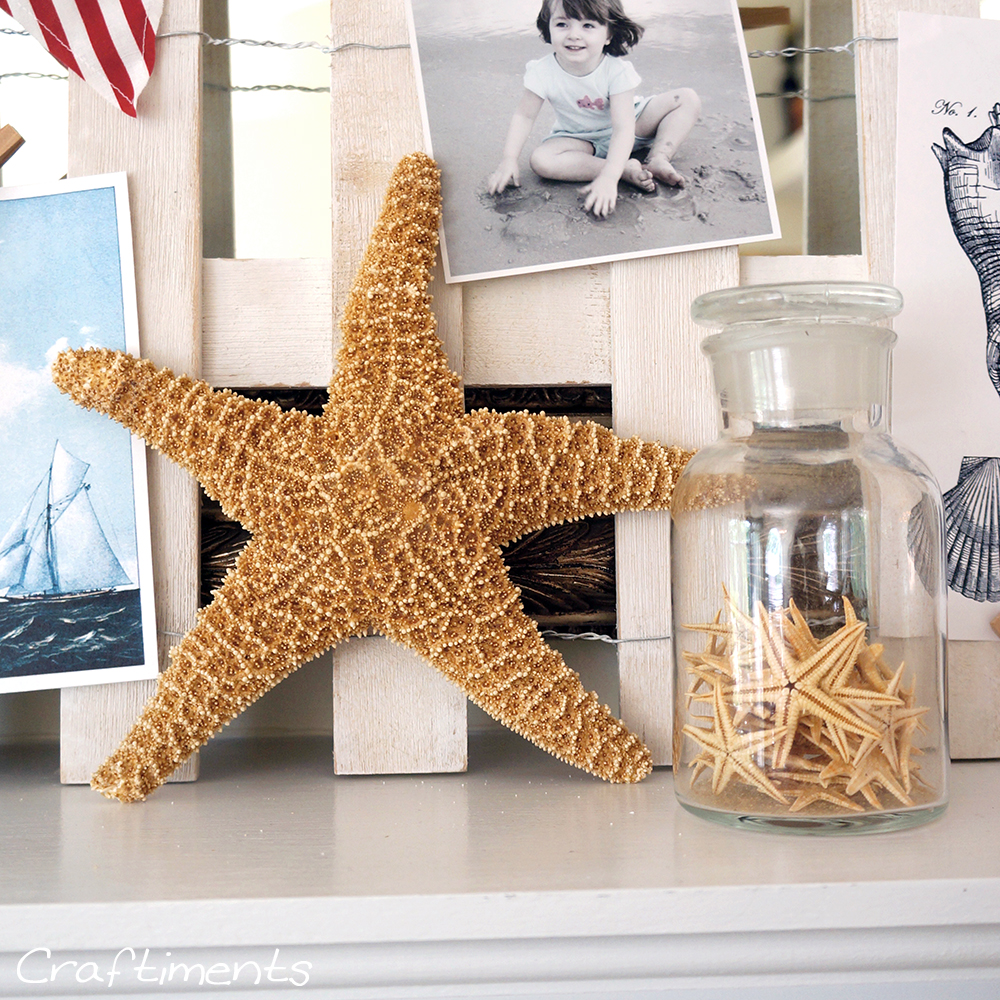 starfish in a jar