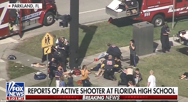 At least 5 dead as 19 year old former student opens fire in a Florida High School (photos)