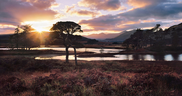 Photographer Tim Parkin