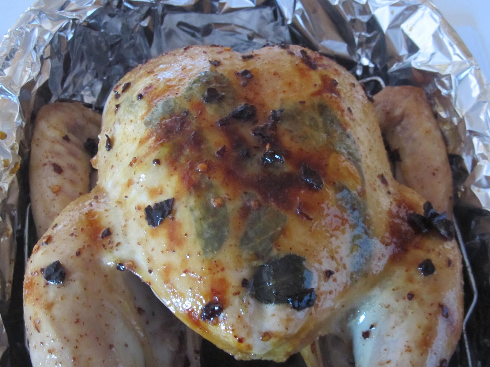 Kim's Cooking and Gardening AnchoMaple Glazed Roast Turkey with CranberryMango Relish