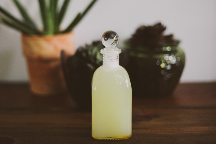 Clean Living // Honey + Coconut Milk Body Wash — Sincerely, Kinsey