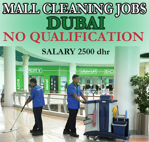 jobs cleaning houses