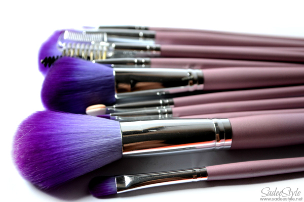 Twelve makeup brushes with leather roll