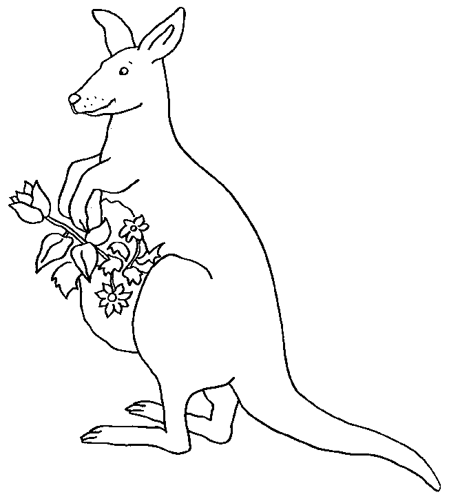 Tranh tô màu kangaroos và hoa