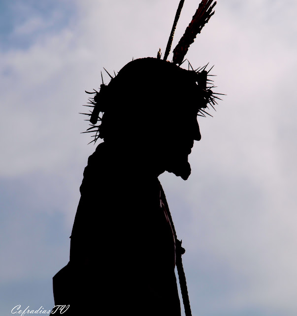 Fotos del Domingo de Ramos de la Semana Santa de Cádiz 2012