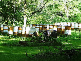 Bee Farm Paket wisata thailand