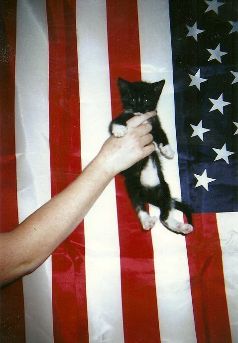 Sevasblog : things I like: Chino Moreno