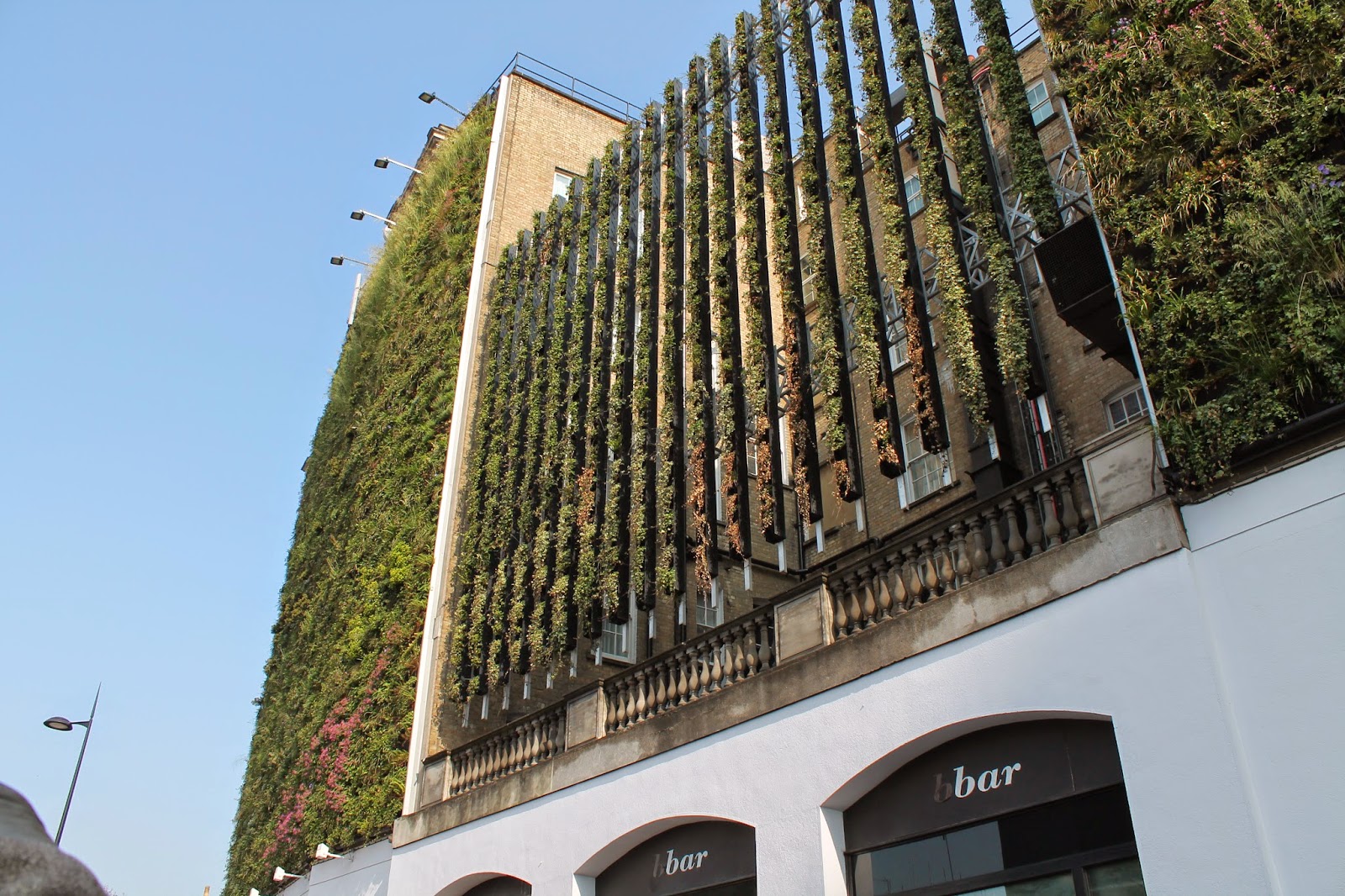temple-group-blog-the-rubens-at-the-palace-hotel-green-wall-green-sky