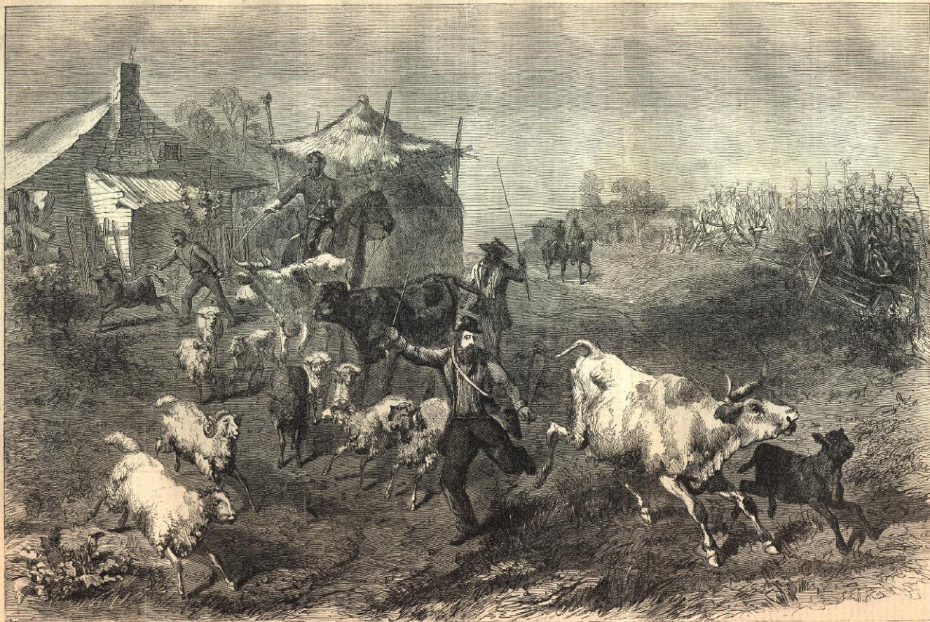 фураж это в истории в 1812