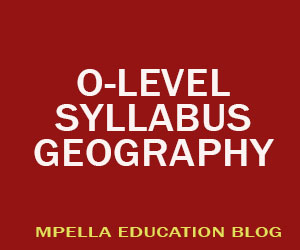 Syllabusgeography