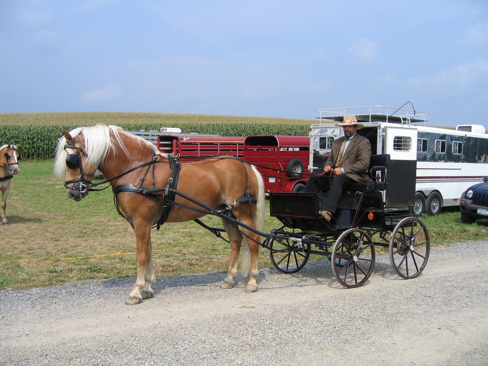 Memoirs of a Horse Girl Memoirs A Horse Girl Gets Carded