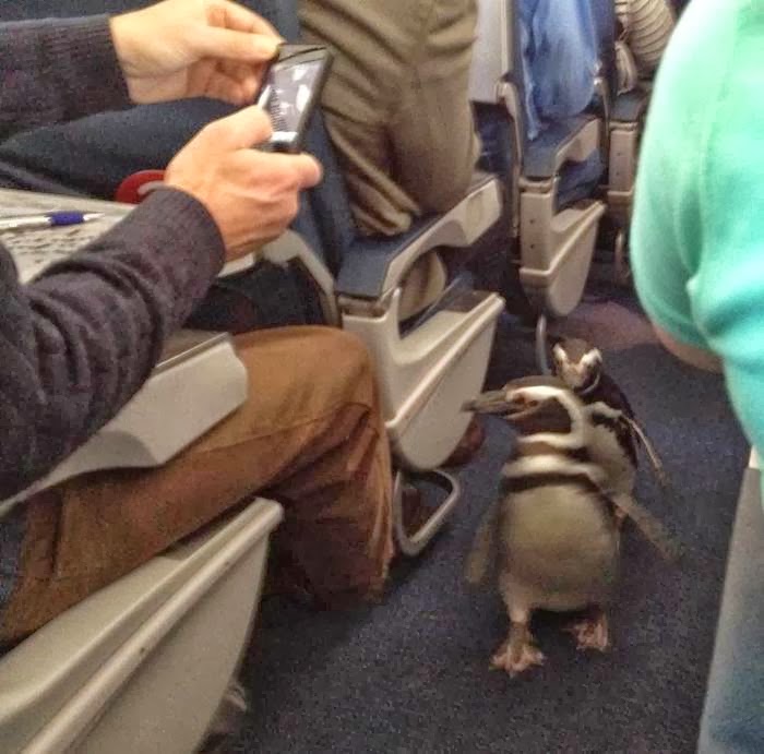 Picdump-Ritemail_009.jpg