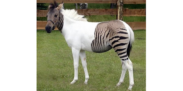 10 Stunning Photos You Won’t Believe Are not Photoshopped