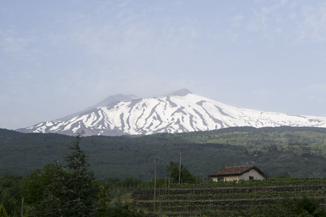 Etna-Viaggio in Circumetnea