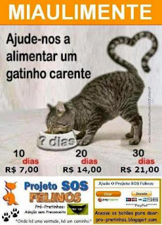 Ajude o Projeto SOS Felinos ♡♥♡