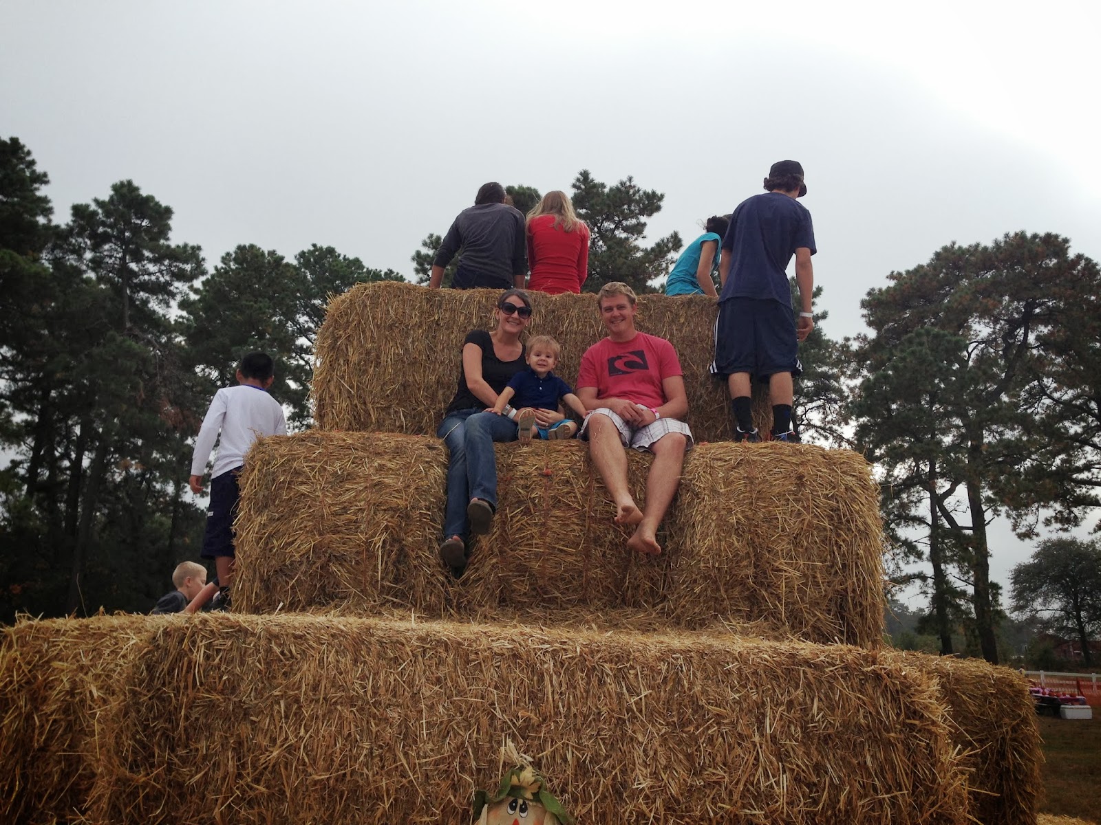 Some Sugar Added Argos Farm