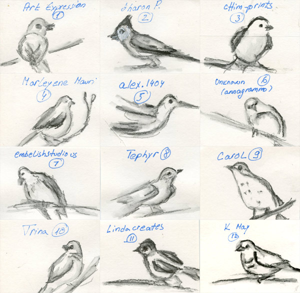 bird sketches Zorana art
