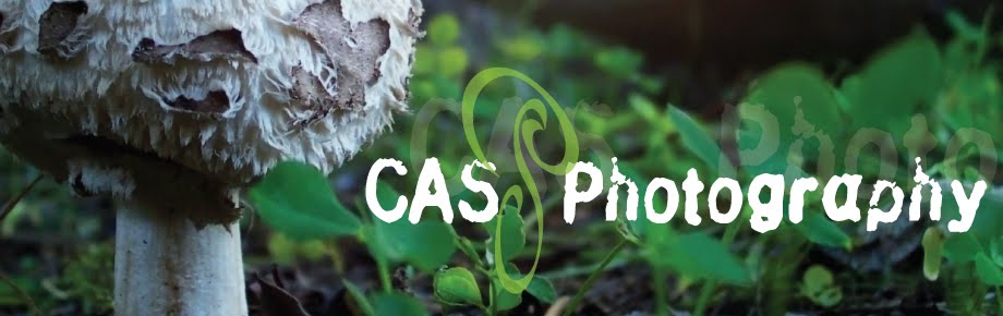 CAS Photography