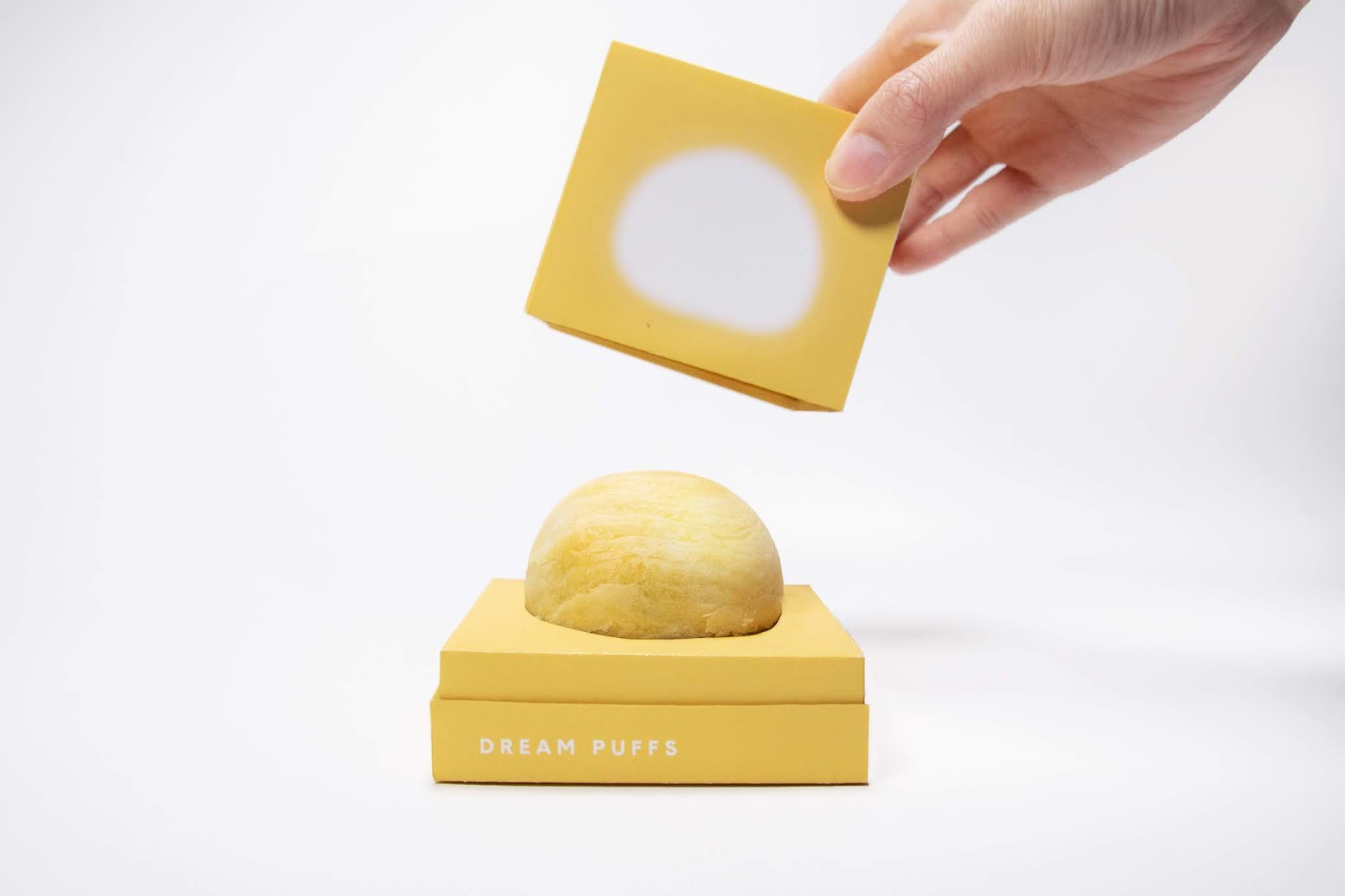 Dream Puffs Packaging Of The World