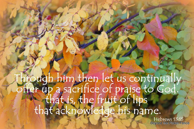 Sunday Verses God's Encouraging word http://bec4-beyondthepicketfence.blogspot.com/2013/10/sunday-verses_27.html