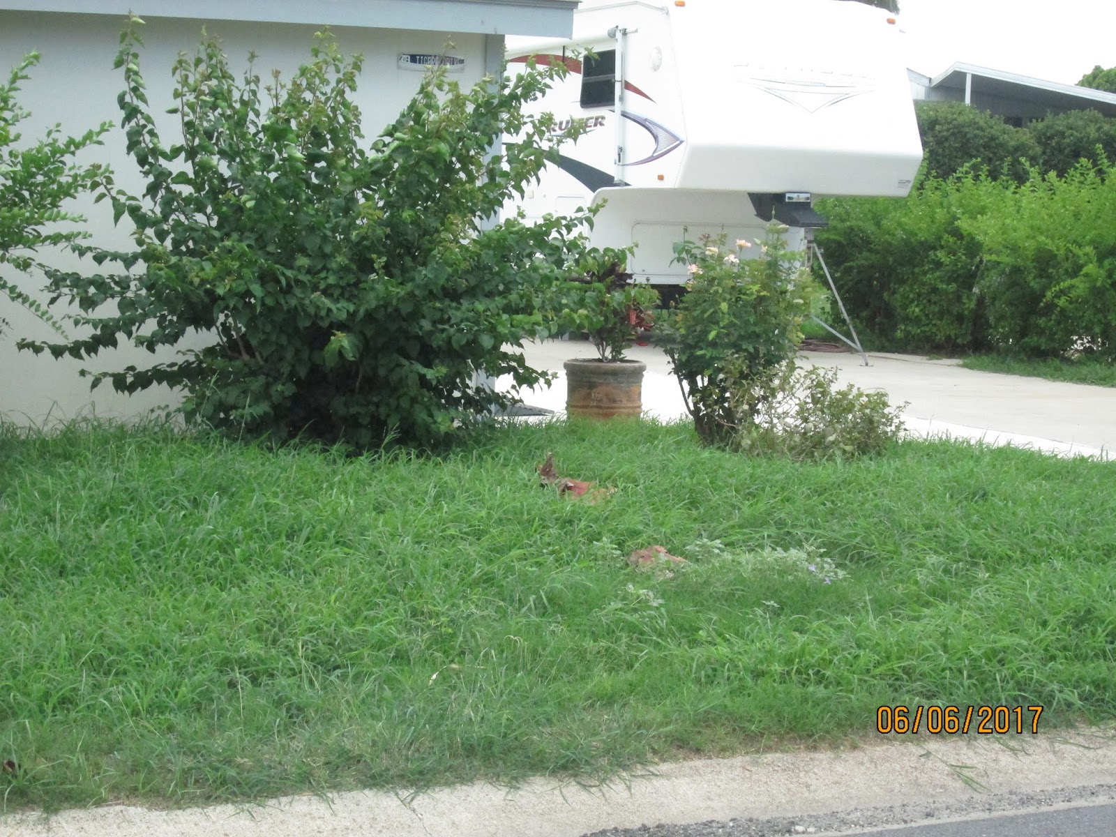 Rio Bravo Subdivision POA