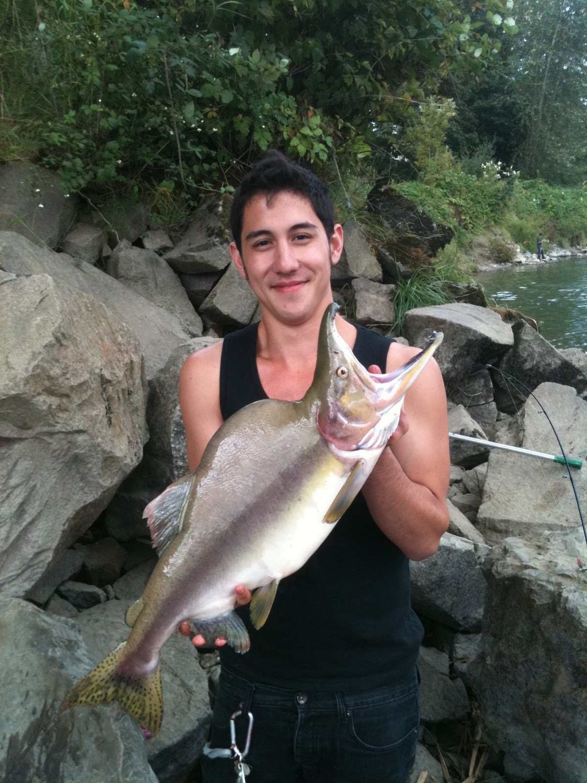 Northwest Fishing Pink Salmon fishing on the Snohomish River 92511