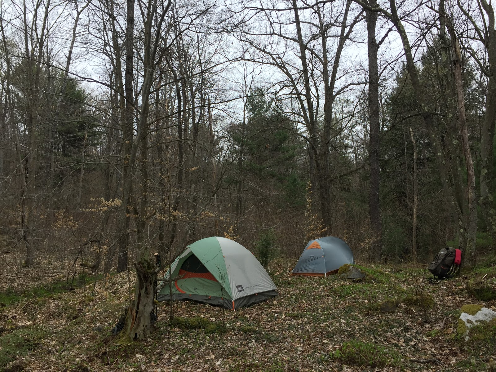 Snow and Jaggers Off Trail in the Hickory Creek Wilderness, Allegheny