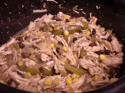 Recipe: Chicken Fajita Spring Rolls - Sara Levine