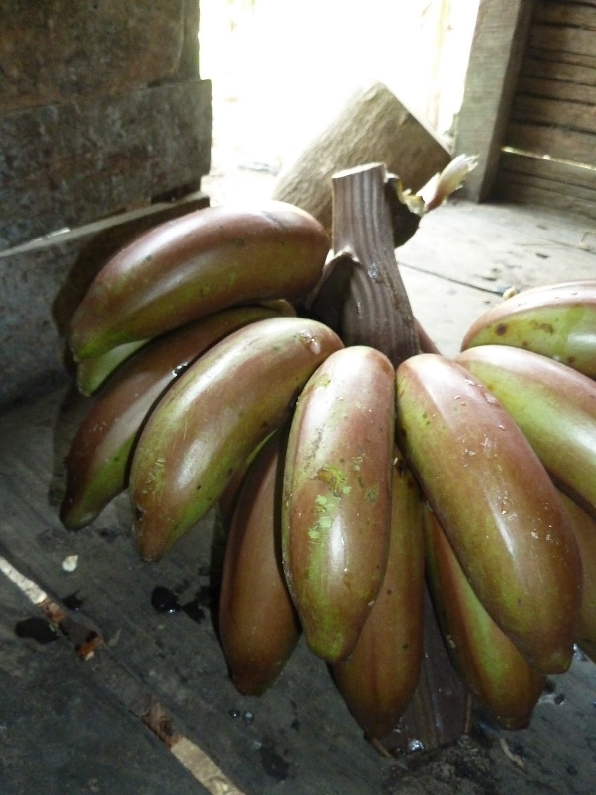 Farms Forests Foods December 2012