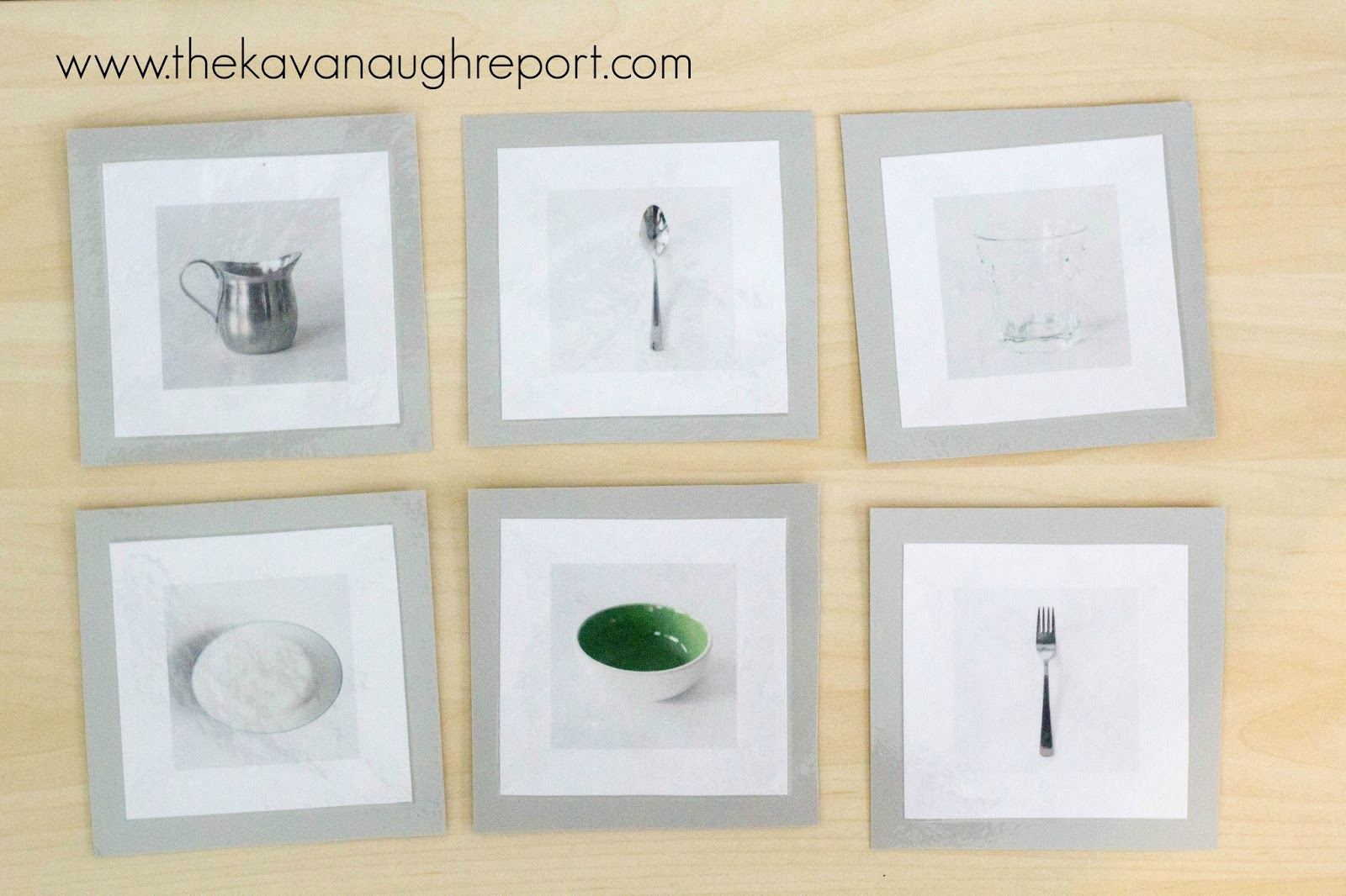 Montessori Toddler Classification Cards with Printable